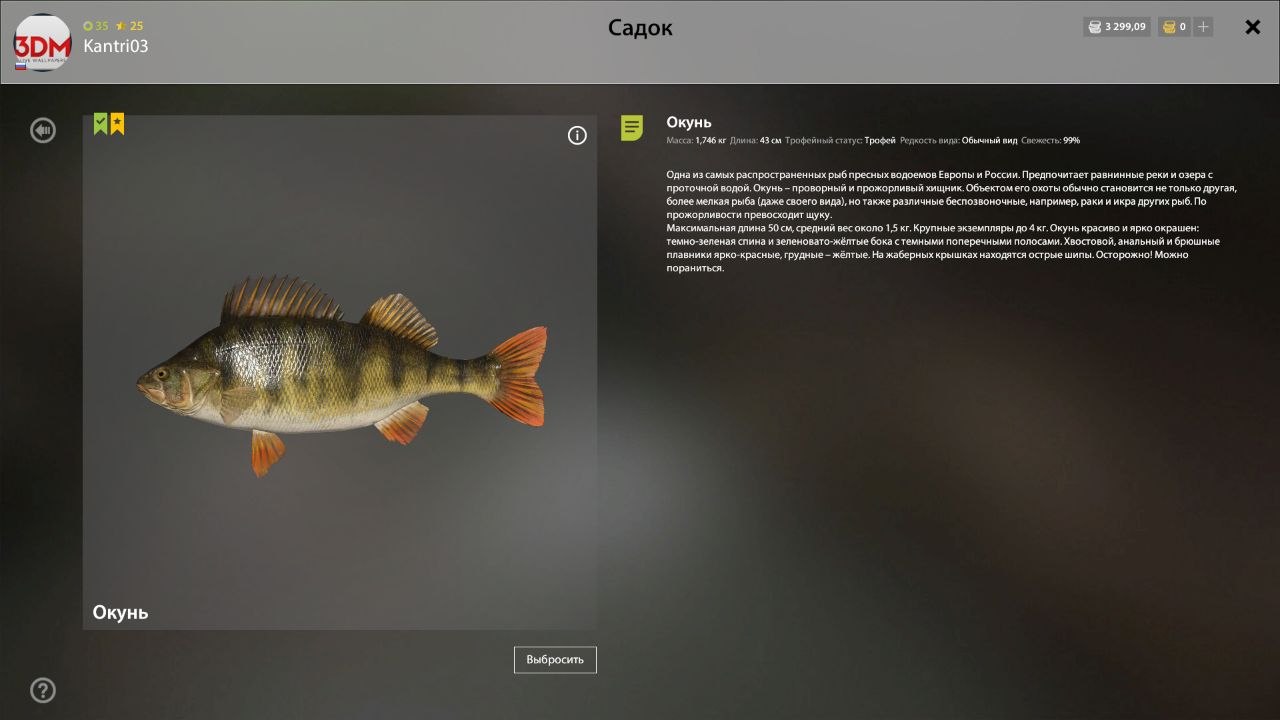 Winding Rivulet — Trophy