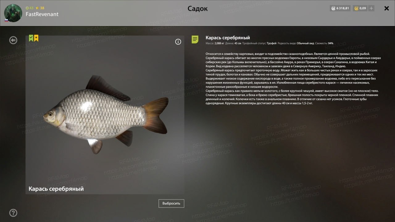 Copper Lake — Trophy