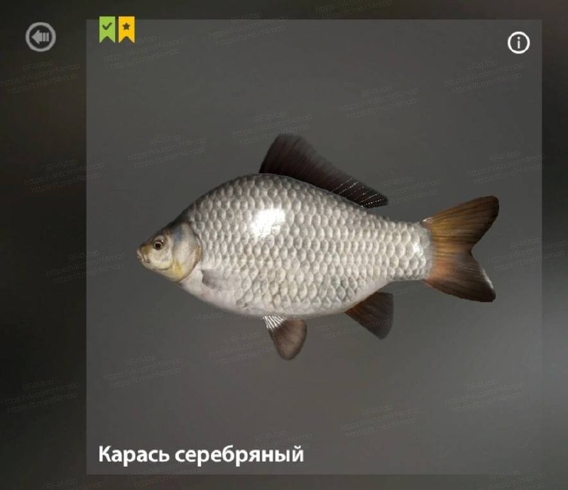 Озеро Комариное — Разное