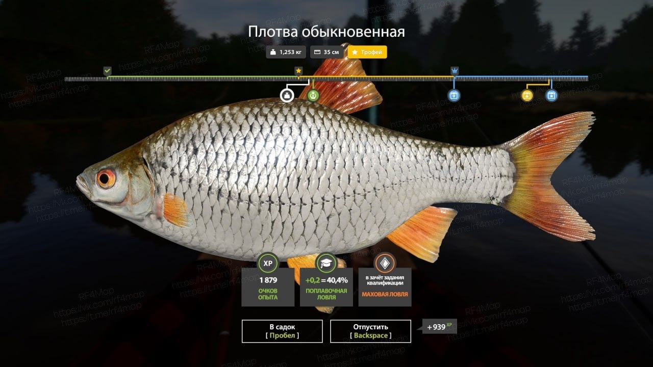 Река Вьюнок