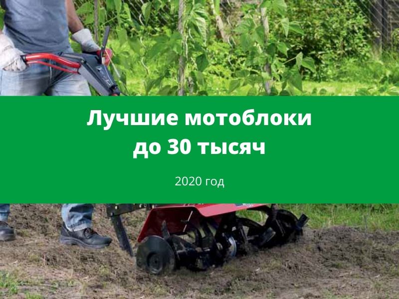 Лучшие мотоблоки до 30 тысяч на 2020 год
