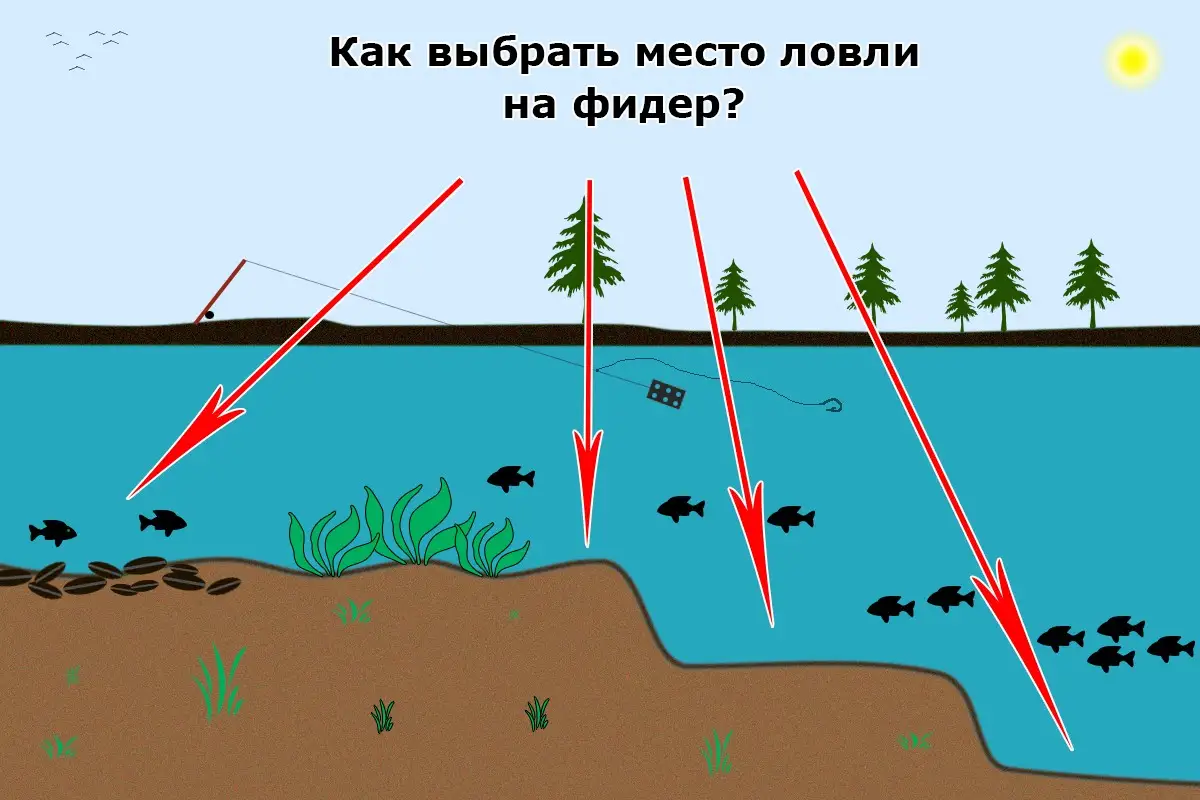 "Как найти идеальное место для ловли на фидер: топ советы экспертов"