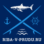 riba-v-prudu.ru