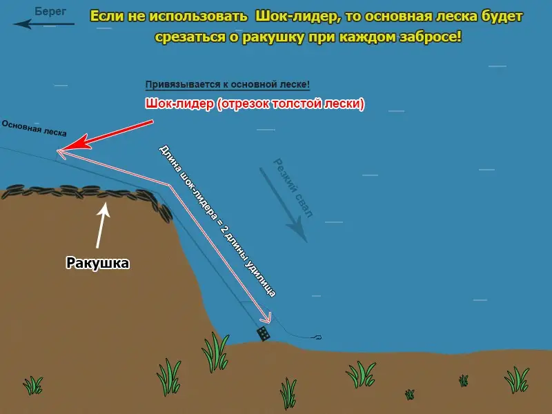 Для чего нужен шок-лидер?