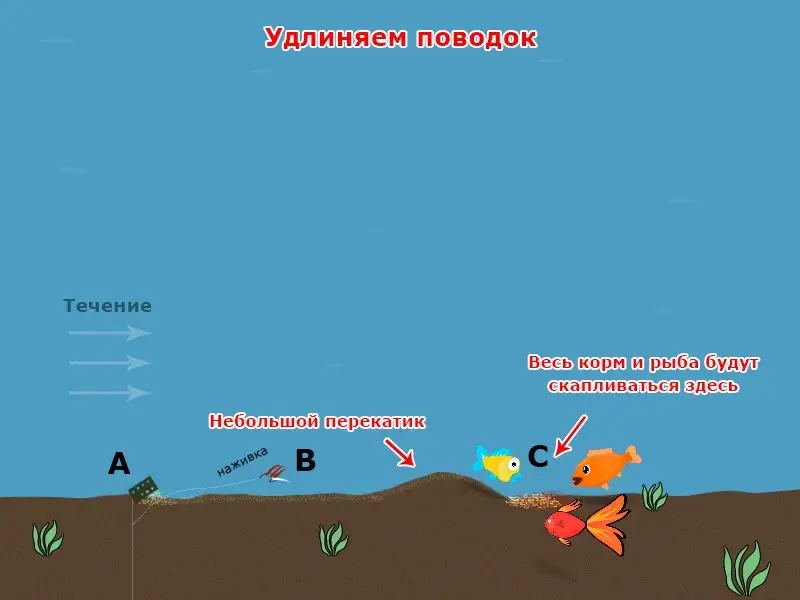 Место, где кормится рыба