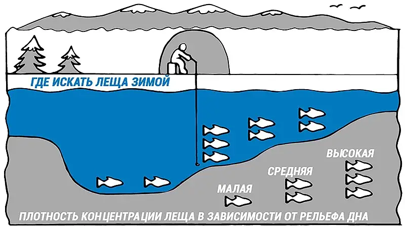 Поиск леща зимой