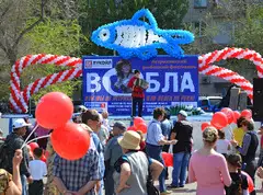 "Вобла: как эта рыба стала знаменитостью среди рыбаков"