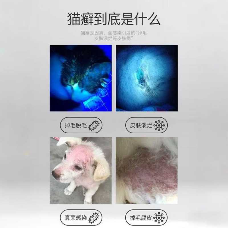 Фонарь ультрафиолетовый UV365 оптом из Китая — фотография 4