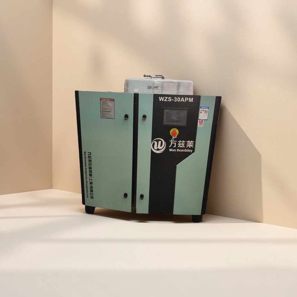Компрессор воздушный WZS-30APM оптом из Китая — фотография 3