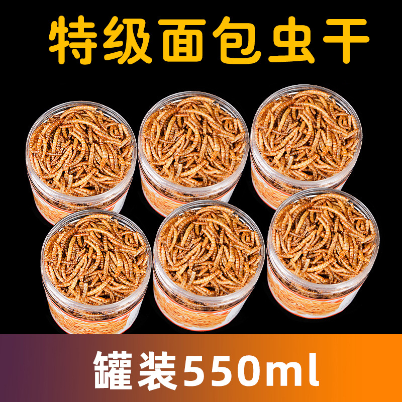 Мучные черви сушёные 550 мл оптом из Китая — фотография 2