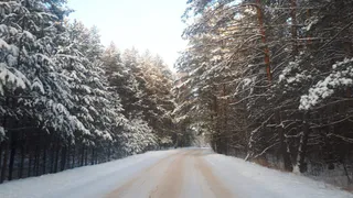 Код "оранжевый": синоптики ожидают в Рязанской области до 29 градусов мороза