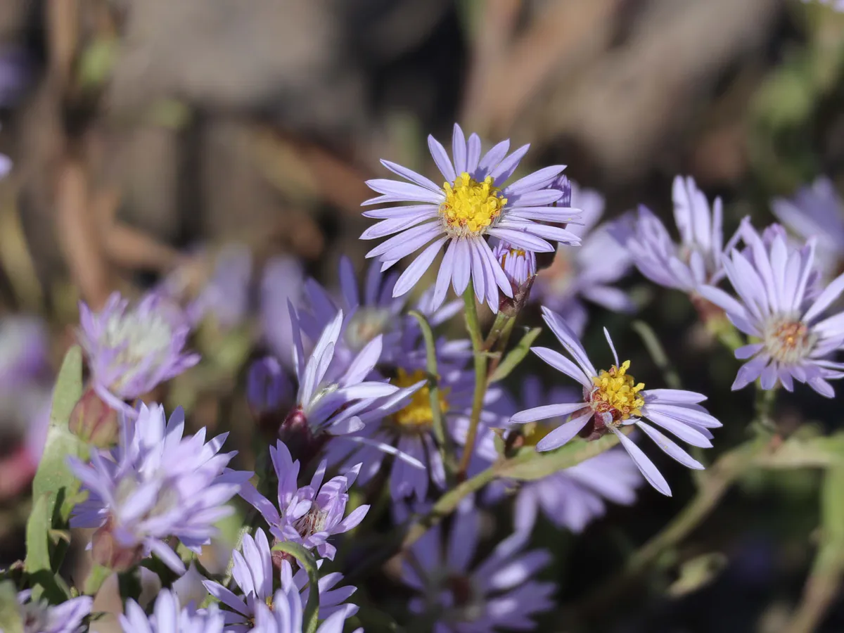 Погода в Нижнекамске 12 октября: золотая осень дарит последние тёплые дни