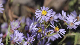 Погода в Нижнекамске 12 октября: золотая осень дарит последние тёплые дни