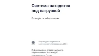 Жители Владимира в первый день выборов Президента не могут проголосовать дистанционно
