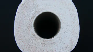 Положите туалетную бумагу в холодильник: вот как это работает осенью - семья оценит. Проблем не будет до 2025 года