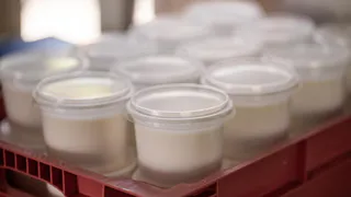 Золото, а не мусор: пластиковые крышки от сметаны берегу как зеницу ока – от них куча пользы