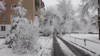 В Челябинской области объявлено штормовое предупреждение из-за ухудшения погодных условий и снегопада