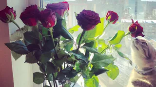 Instagram-подборка самых необычных подарков, которые получили рязанки на 8 марта