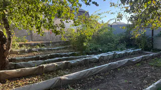 Доступная замена навозу: купил мешок крупы на рынке, удобрил все грядки — теперь соседи делают так же