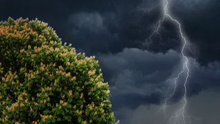 "Нас всех ждет настоящий потоп": синоптики пообещали с 1 июня бесконечные дожди. На теплое лето надежды нет