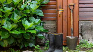 Выгребная яма на даче больше не переполняется: лёгкий, но при этом очень эффективный метод – гениальный совет от соседа