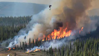 Парашютисты-пожарные оперативно локализовали возгорание в Коми