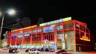 ТЦ "Копеечка" во Владимире выставили на продажу