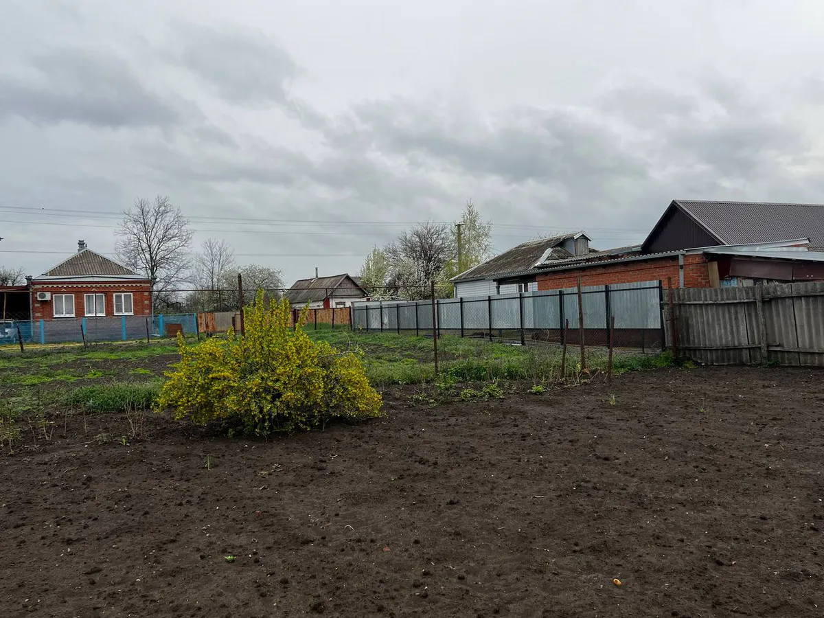 "Вбиваю кол при посадке картофеля и все лето бед не знаю": рабочий лайфхак от опытного дачника