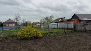 Соседи лопнут от зависти: что сыплют опытные дачники на снег в феврале ради бешеного урожая

