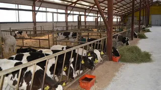 В Рязанской области ищут 919 работников в сельхозпредприятия 