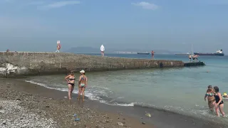 Не помогает совсем ничего: отдыхающие из Геленджика и Анапы массово жалуются на новую беду