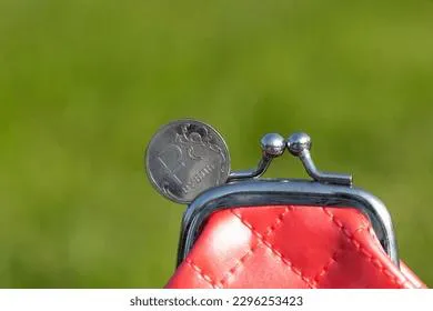 «Кубышку пенсионеров» растратили на все, что угодно