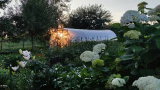 Пощады не ждите: за инструменты и садовую технику на даче скоро начнут штрафовать