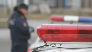 Житель Скопинского района оскорбил инспектора ГИБДД и отправился под суд