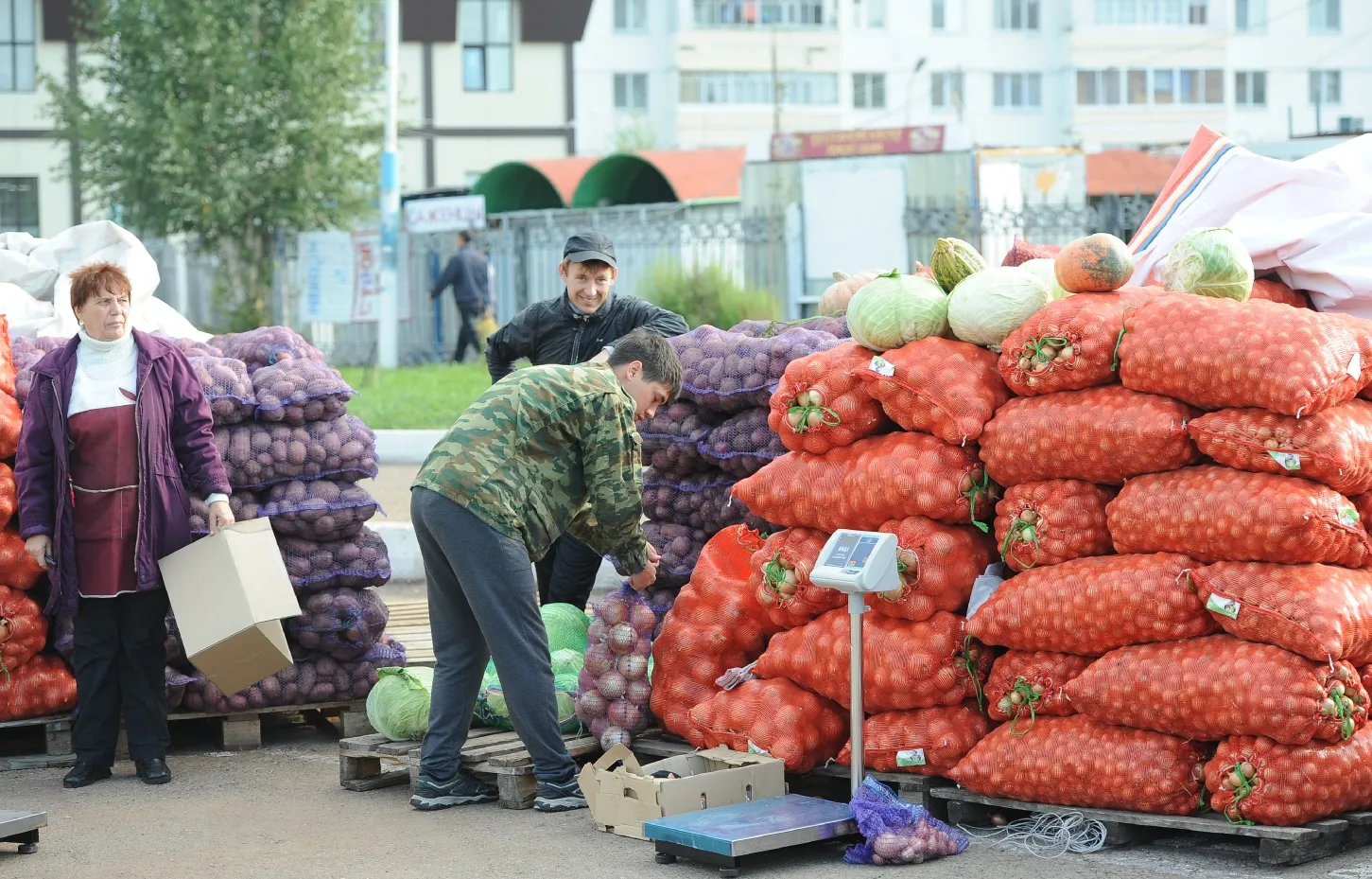 Одна из фермерских ярмарок Нижнекамска сменила локацию
