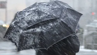 Циклон надвигается на Брянскую область