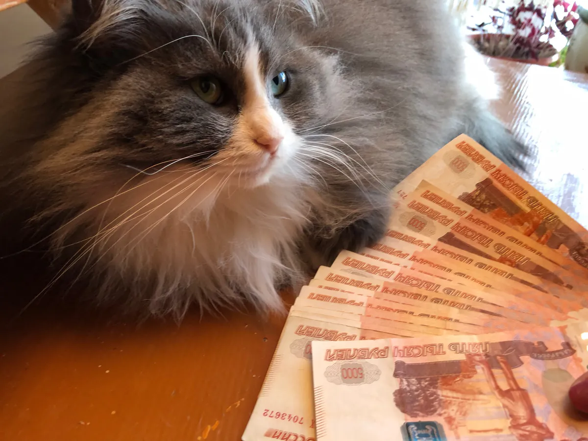 В Татарстане утвердили прожиточный минимум на 2026 год — он превысил 16 тысяч рублей