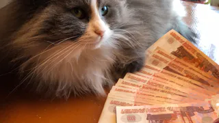 В Татарстане утвердили прожиточный минимум на 2026 год — он превысил 16 тысяч рублей