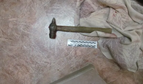 В Пензенской области 32-летний мужчина до смерти забил молотком знакомого