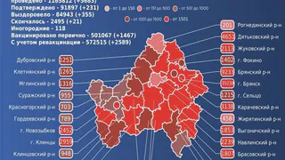 21 житель Брянской области умер от COVID-19 за сутки