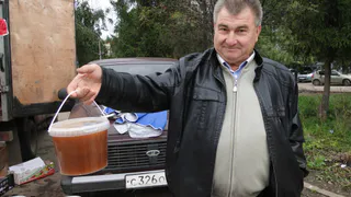 Роскачество советует выбирать правильный мед