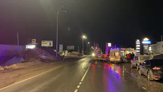 В Коми на трассе под колесами Scania погиб пешеход