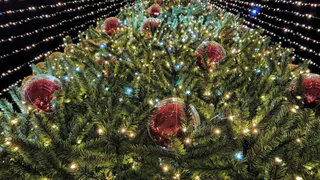 В Рязани на Лыбедском бульваре поставили и украсили 16-метровую ель