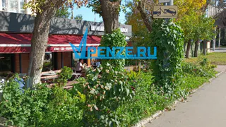 Сотрудники кофейни по ул. Плеханова в Пензе используют детскую площадку в качестве места для курения