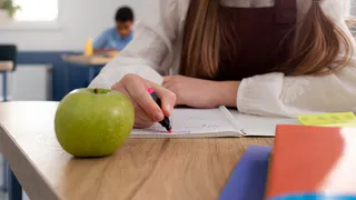 В школах региона установят новые правила для контрольных и практических работ