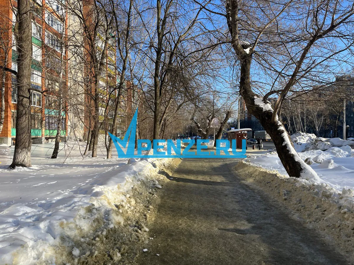 Пензенский суд вынес приговор иностранному гражданину, скрывавшегося от следствия три года