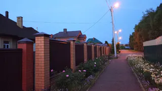 В рязанском дворе женщина вечером похитила цветы из уличного кашпо