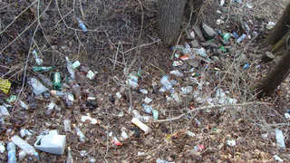 В год экологии рязанская администрация закрывает глаза на мусор