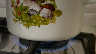 Указ уже вступил в силу: с 1 декабря 2024 штраф 1500 рублей в сутки для собственников квартир с газовой плитой