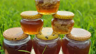 Пчеловод из Коми Анастасия Корнышева планирует расширить ассортимент продукции и заняться организацией агротуров